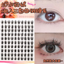 5D�����������ٽ�ë10�Ŵ�����ˮ���q�냺�����ܾ��N���R�ֶν�ë