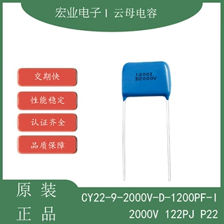 CY22-9-2000V-D-1200PF-I高频精密军工银云母电容2000V122PF P22