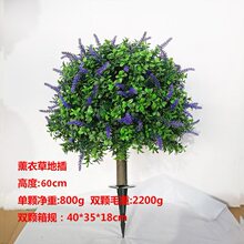 ���R�d�羳�������޹�²��S��ľ�Gֲ�ز�پGֲ���ԼҾӾƵ��b�