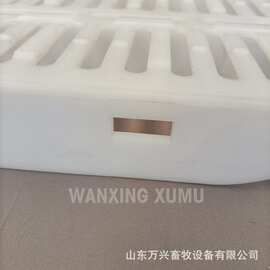 养猪场 猪粪板 母猪保育床 母猪产仔床 图片