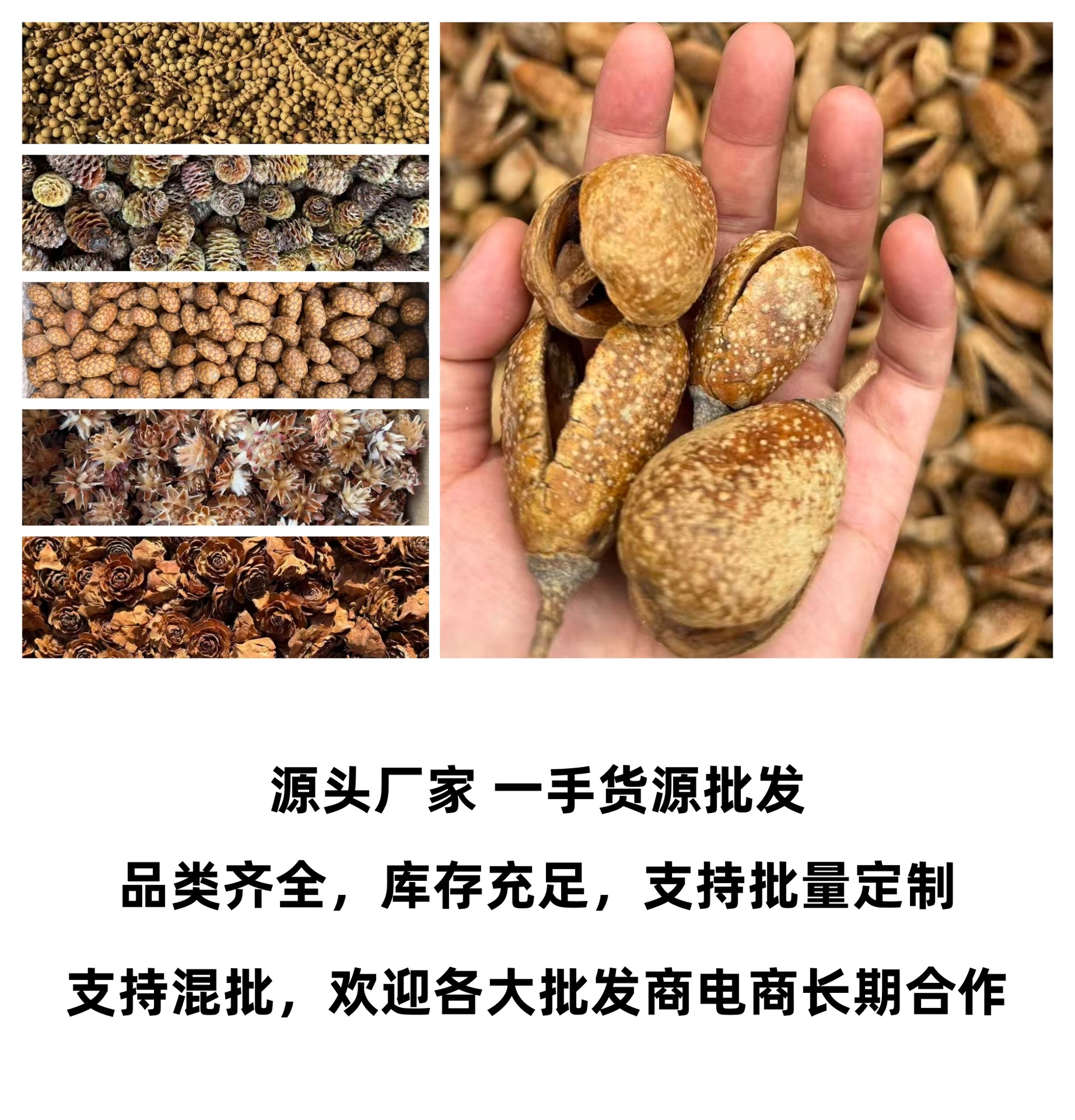 厂家介绍.jpg