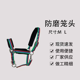 马术用品;其他运动护具;马术服