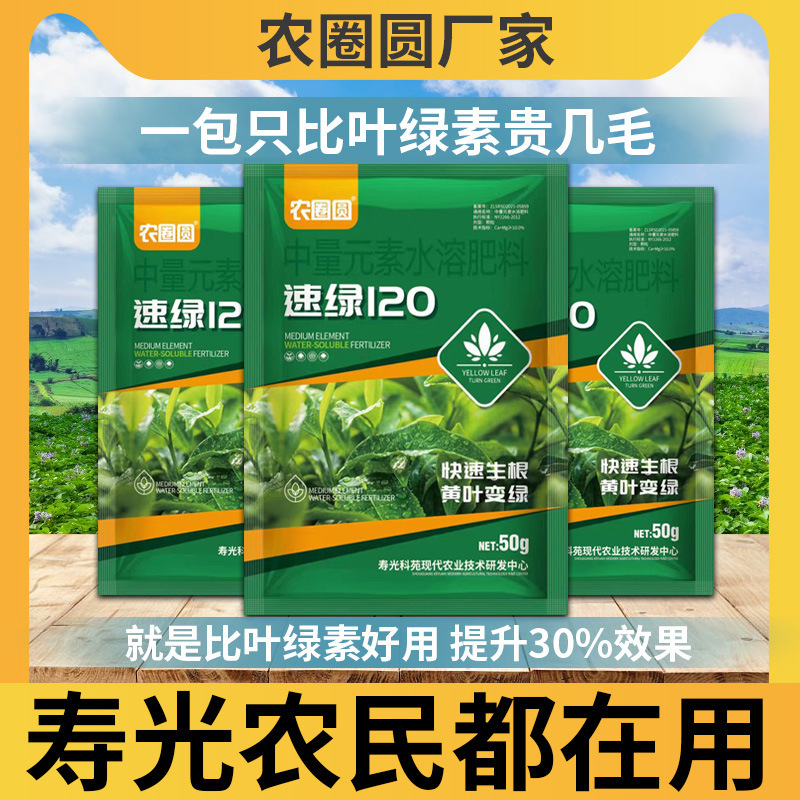 Sulv 120 クロロフィルは、光合成を強化し、根作物の葉面肥料を補充し、黄色い葉を緑に変えて根を発生させます。|undefined