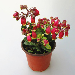 �m���L�ۻ���������\��������R�҃��̨�����L�ۻ��ܰ��]������