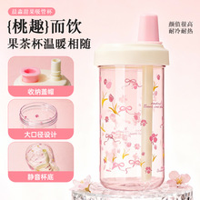 2025新款塑料吸管杯学生情侣便携礼品塑料水杯小清新水果花茶杯子