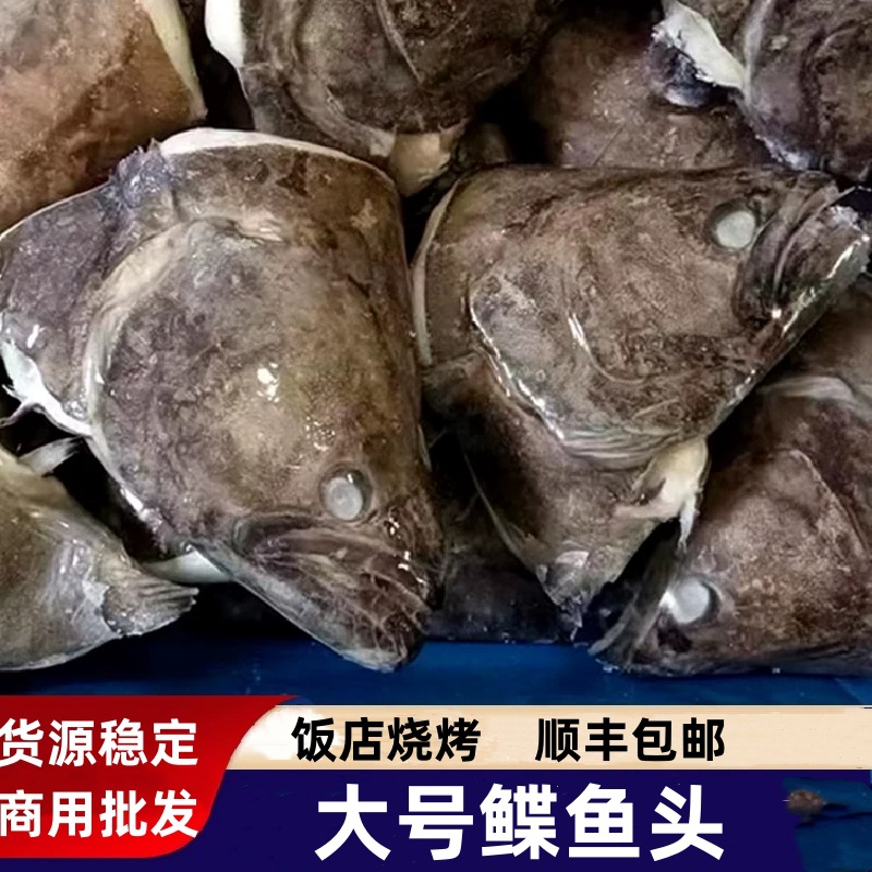 鲽鱼头大号比目鱼深海鸦片鱼头格陵兰碟鱼头烧烤冷冻蝶鱼商用批发