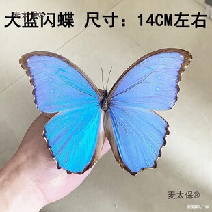 ������˱�չ��̾��P���P���������x�׃��@�{�W�����ý̌W��̫��