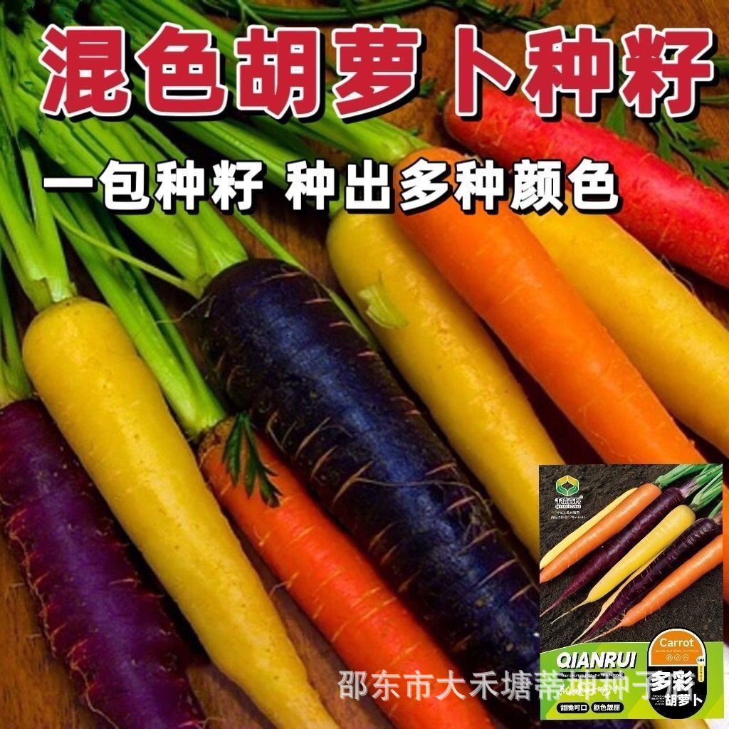 New product colorful carrot seeds colorful carrots summer and autumn…