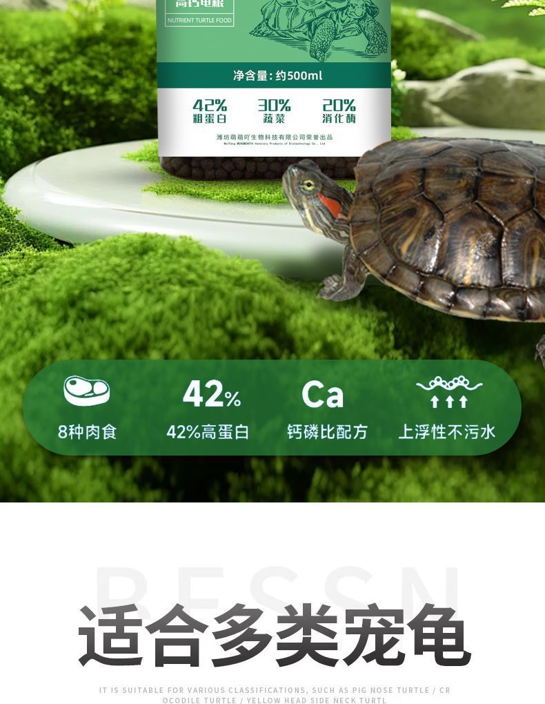 bf8468a4-23cf-40d4-82b4-1f82c05ae6fa.jpe