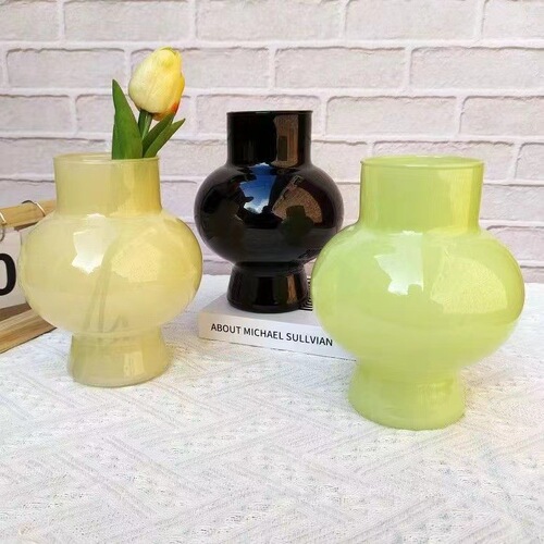 High-end ins decoration internet celebrity niche vase small ornaments living room flower arrangement transparent water cultivation simple glass vase