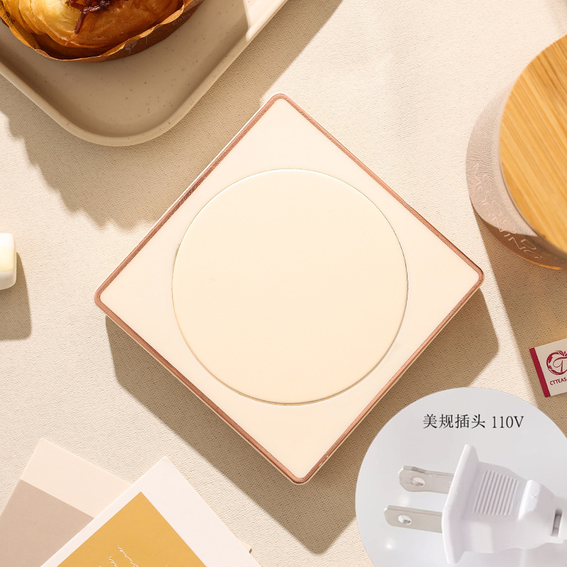 살구 미국 표준 110V