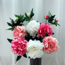 ��֦���渻��ĵ�����ٻ������ڼ������������ջ�����������յ���