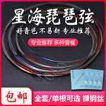 星海琵琶弦 民谣琵琶散弦 一套1-4根可单根初学琵琶琴弦乐器配件
