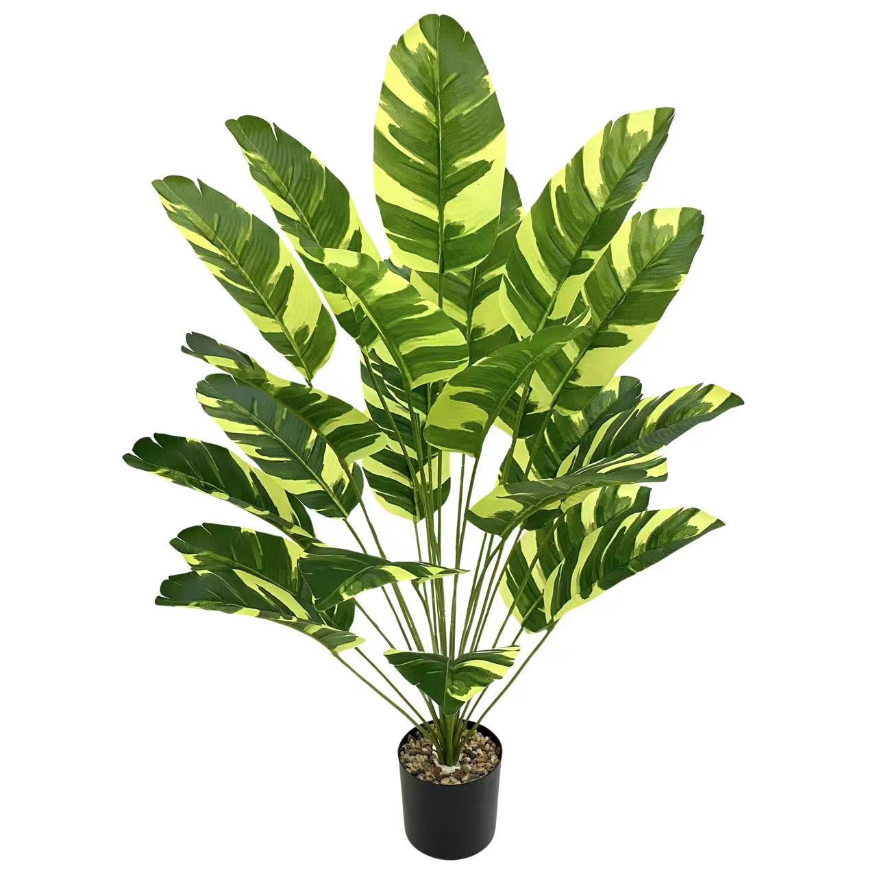 微信图片_20240608153220_副本