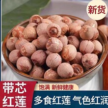 *2025����؛�tɏ�Ӹ�؛�tƤɏ�ӎ�оɏ�Ӻ����خaȥо�tɏ�Ӹ�؛*