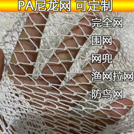 白色尼龙网渔网网片拉网抬网网箱养殖网防鸟网植物爬藤网防护网