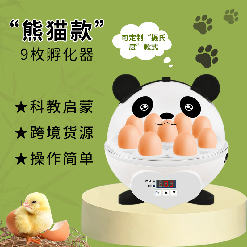 孵化器熊猫款儿童科教小型孵化机智能迷你孵蛋器家用孵化鸡孵蛋箱