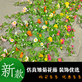 �����r�����ټٻ�̫ꖻ����տ����컨�҃ȵ�픿��{���p�@�b����l