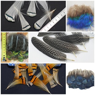 ��ȸ��ë�~�u�GƬ�{Ƭ��Ƭ ����C�ᵶ�� ���^Ƭ�t�^ƬС��ë�b�