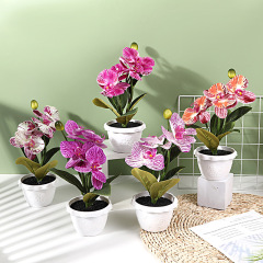 European-style five-headed four-flower Phalaenopsis simulated potted plant indoor photography landscaping ornaments living room fake flower decoration bonsai