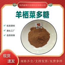 羊栖菜提取物50:1 30:1羊栖菜多糖30%50%水溶羊栖菜粉 现货kg装