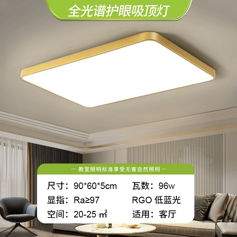 Golden LED ceiling light, lights for corridor, room light, light luxury style