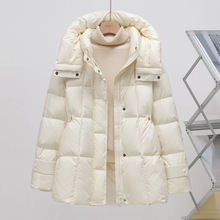 ���������@���Z�q������Ů�¿�С�������׸ߙn���L����q��2025��