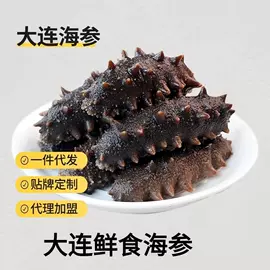 海参;其他水产加工