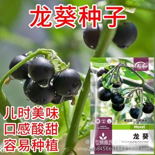 �����N���Ϻ�ɫ����������������ˮ���N��ԭ�b�ļ��N�Ӵ�ȫ���N��