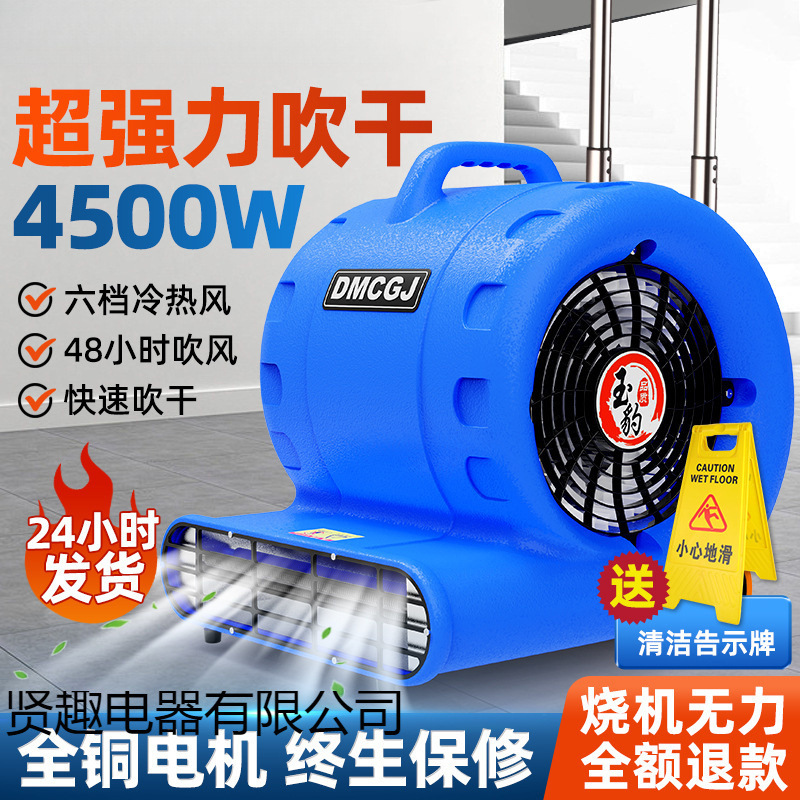 Ultra-High-Power Floor Blower, Floor Dryer, Commercial Hair Dryer, Bathroom Public Toilet, Powerful Deodorization and Dehumidification