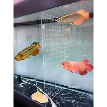 ���~�~�׸׸����~�׃��ø��x�W�ָ������~�~�װ庣�r�ظ��x��͸��