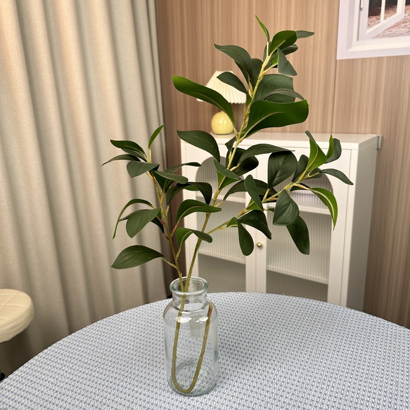 シミュレーション緑植単枝束ブラジル木楡樹葉室内装飾造景竹葵客間装飾シミュレーション植物|undefined