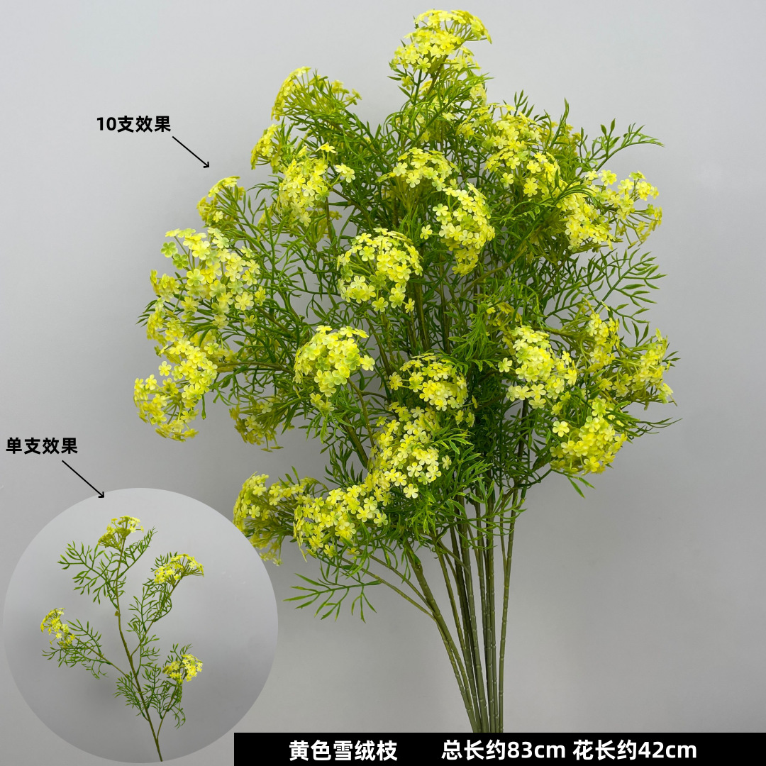 노란 눈 녹은 가지