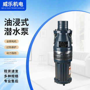 QY����ʽ��ˮ�� 380V�ߓP�̴����� �r�ù�ȇ���ι��ˮ��