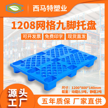 1208�W����_�Ӻ������бP���Sֱ�N �����������Ͽ��� PE�����бP