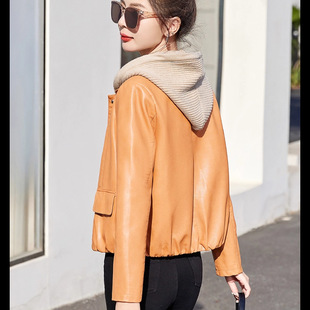 �̿�Ƥ������Ůʿ����2026�¿��С�����ﶬ���r�����puƤ�A��