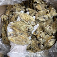 大地鱼水产干货鱼干散装海鲜干货是铁脯鱼比目鱼干煲汤500g批发