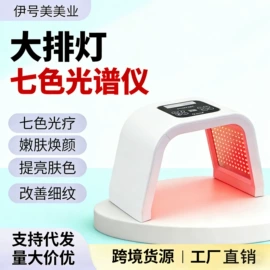 面罩美容仪;其他美容仪器;电子美容仪