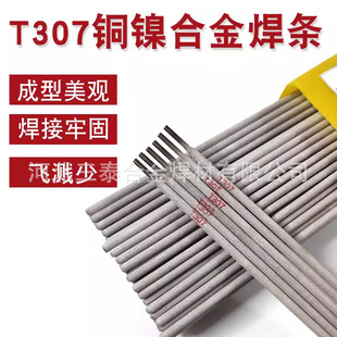 T307�~懺��l t307���~���lCu307�~懺��l ECuNi-B�~懺Ͻ𺸗l