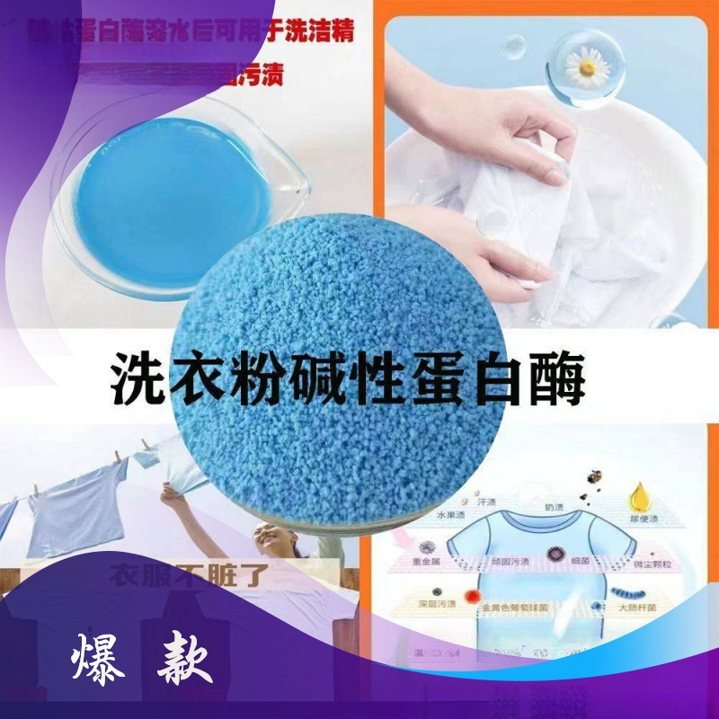 Alkaline Protease Bulk High-efficiency Neutral Enzyme Preparation Laundry Detergent Liquid to Remove Stains and Blood Stains Universal Enzyme Vitality