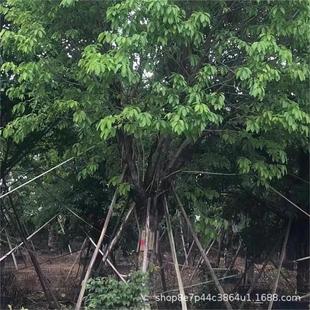 ���~���S����R���u�Ŵ��������l5-120��