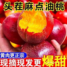 �S������5������������rˮ������ˮ����������]�ЋD�۴���10