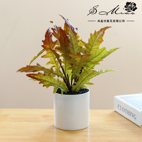 Plastic Spring Fern Plant Pot Landscape Factory Direct Supply Artificial Plant Indoor Ornament Artificial Flower One Piece Dropshipping Green Plant