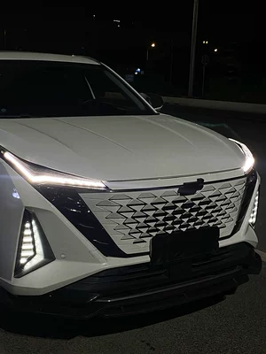 Gündüz işıqları, Oushang Z6 front grille fog light