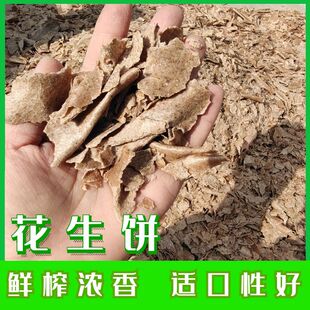 �S�ҬF؛���l������ ����r�� ֲ������� �iţ������m���Ժ�