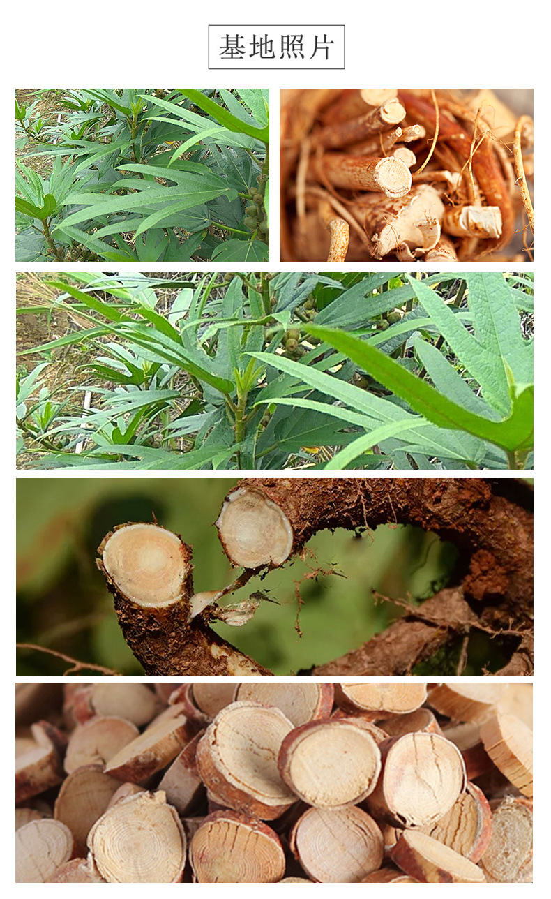Wu Zhi Mao Tao Five-Finger Fig Root Dried Herbal Tea Guangxi 500g Sulfur-Free quality and texture