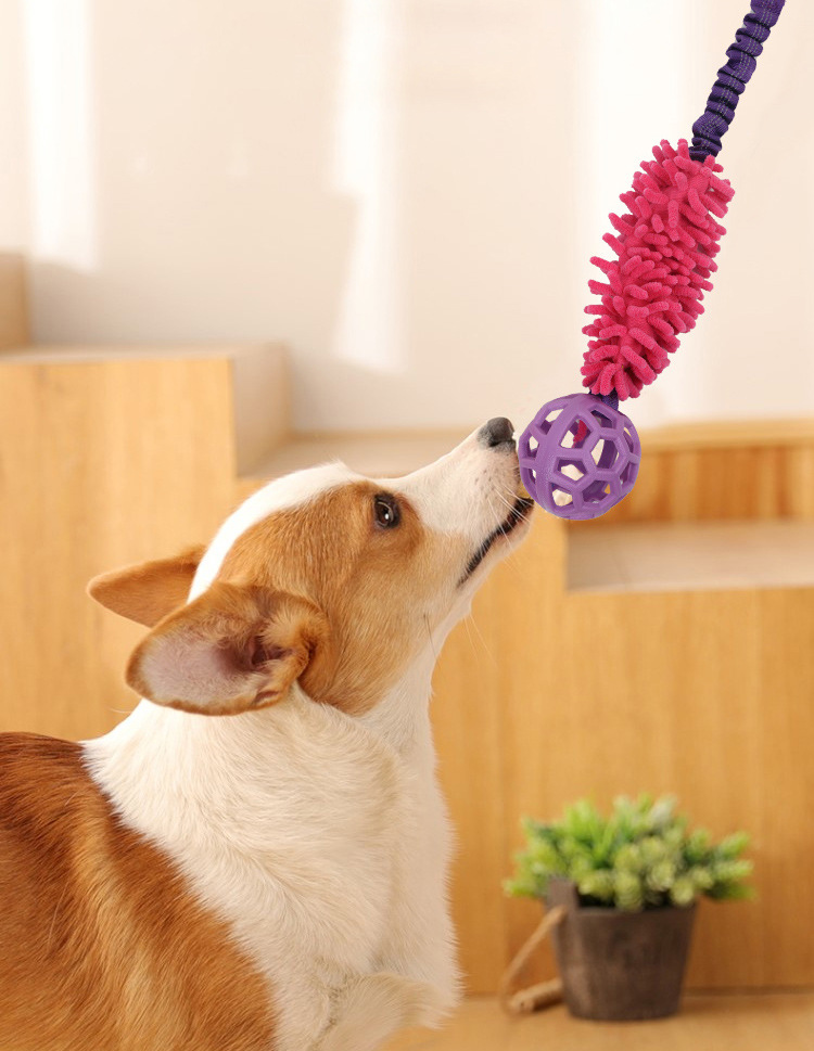 狗玩具阿里巴巴详情页_06