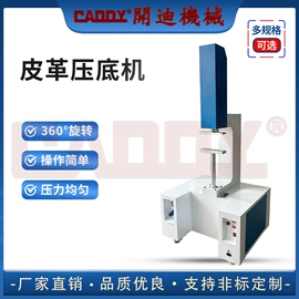 皮革加工;其他制鞋机械;缝鞋机