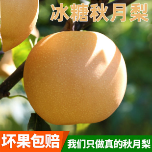 ɽ�|�R��������ЋDˮ�����r����Fժ��Ȼ�������l������Ȼ����