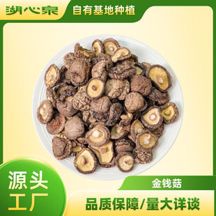 �㹽��؛����X��500g�r�Ҿ��x���o����Ģ�������㹽�Ҝ�